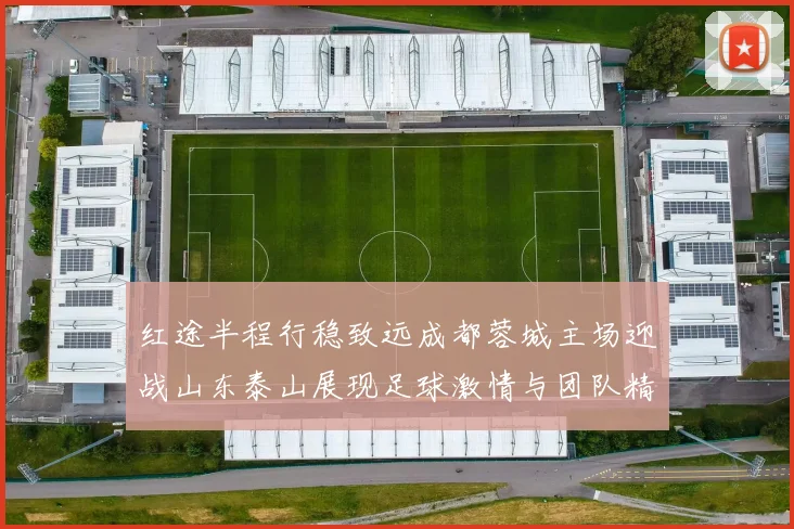 红途半程行稳致远成都蓉城主场迎战山东泰山展现足球激情与团队精神